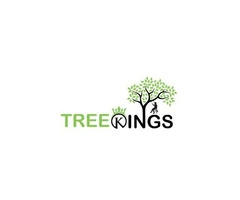 Tree Kings
