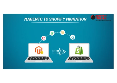 Professional Store Migration Services for Online Businesses