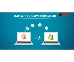 Professional Store Migration Services for Online Businesses