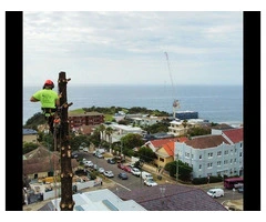 Tree Pruning Sydney