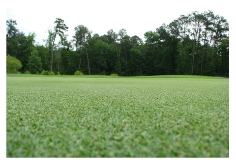 Artificial Grass Adelaide