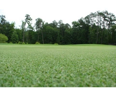 Artificial Grass Adelaide
