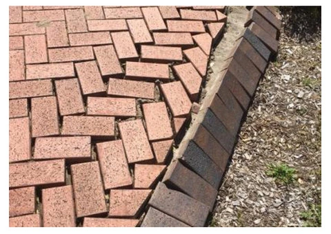 Lawn Care Services Northern Beaches