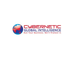 Web Application Security Auditors for Safer Digital Platforms
