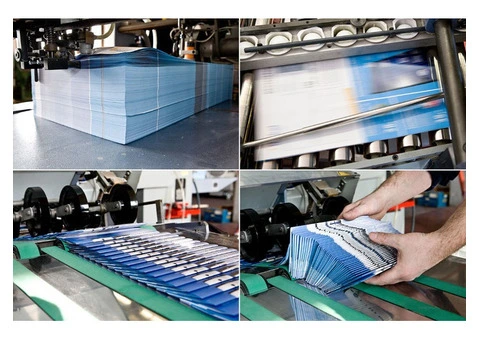 Print Materials That Speak Clearly for Your Brand