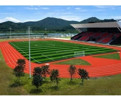 Best Sports Infrastructure Company in Australia for Modern Facilities