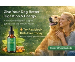 Pawbiotix Review: A Natural Solution for Your Dog’s Gut Health?