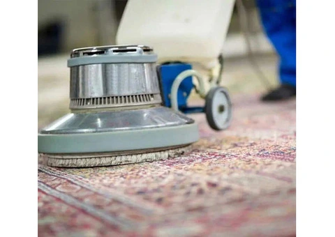 Get a Multi-Brush System with Rug Cleaning Services Adelaide