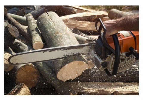 Stump Removal Adelaide – Affordable & Professional Stump Grinding Services