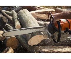 Stump Removal Adelaide – Affordable & Professional Stump Grinding Services