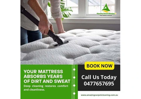Professional Carpet Cleaning Experts in North Brisbane Today