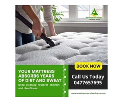 Professional Carpet Cleaning Experts in North Brisbane Today