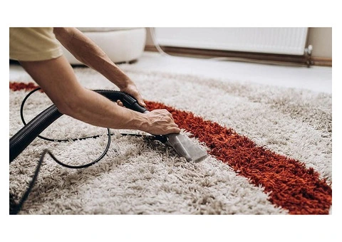 Affordable Carpet Steam Cleaning Services in Kingsgrove