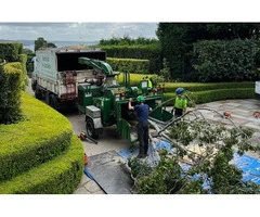 Tree Removal St Ives