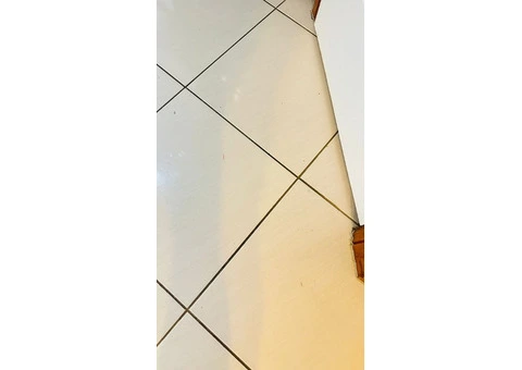 Need Professional Carpet Cleaning in Adelaide? We’ve Got You Covered