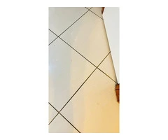 Need Professional Carpet Cleaning in Adelaide? We’ve Got You Covered