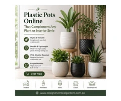 Plastic Pots Online That Complement Any Plant or Interior Style