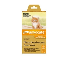 Advocate For Kittens & Small Cats Up To 4Kg (Orange)