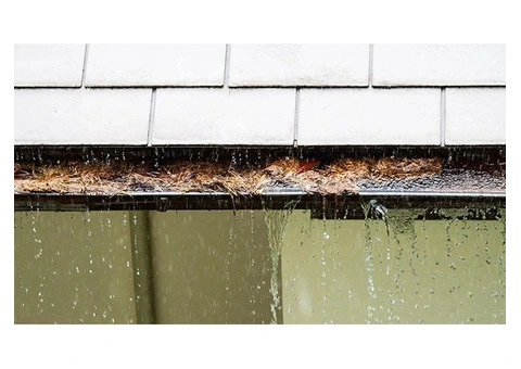 Roof & Gutter Cleaning Experts for Homes & Businesses Sydney