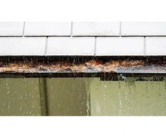 Roof & Gutter Cleaning Experts for Homes & Businesses Sydney