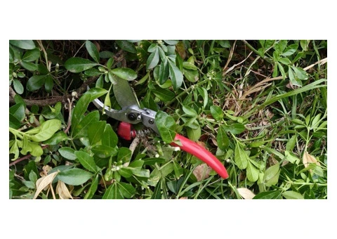 Garden Maintenance Service Bayside Gardens Genuinely Need