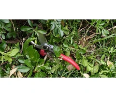 Garden Maintenance Service Bayside Gardens Genuinely Need