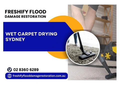 Wet Carpet Drying Sydney – Emergency Water Damage Service - 1/6