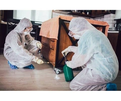 Same Day Mosquito Control in Brisbane