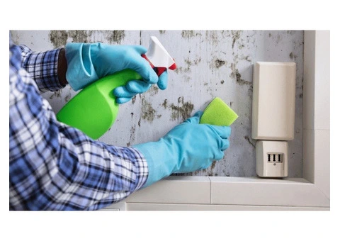 Trusted End of Lease Cleaning Services in Sydney