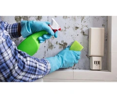 Trusted End of Lease Cleaning Services in Sydney