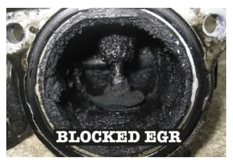 Professional EGR Cleaning Services Canberra for Better Engine Performance - Everlast Automotive