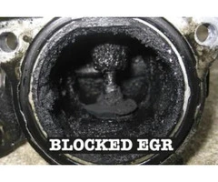 Professional EGR Cleaning Services Canberra for Better Engine Performance - Everlast Automotive