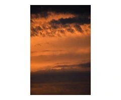 LGBTQIA+ therapist Australia - Inner Element Psychology