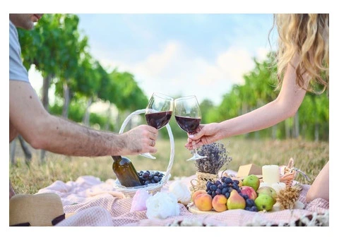 Reliable Wine Tours in Brisbane