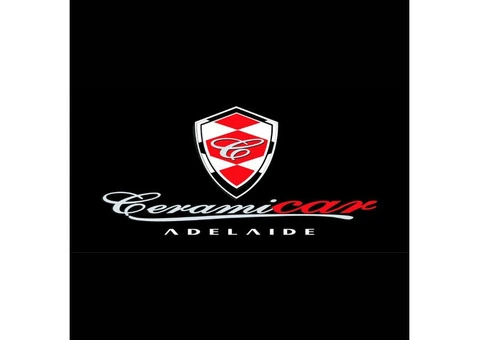 New Car Paintwork Protection by Experts