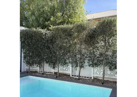 Get the Perfect Faux Olive Tree for Your Decor