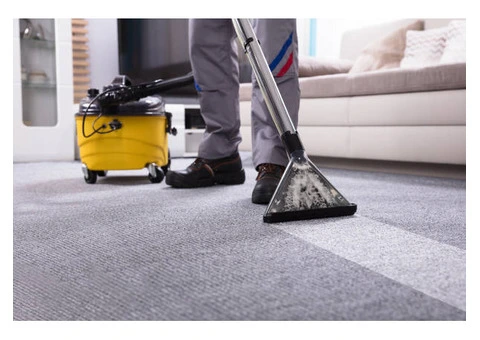 Carpet Mould Growing Fast Clean Before It Spreads - 4/4