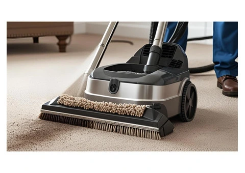 Affordable Carpet Cleaning Solutions for Homes and Offices in Concord