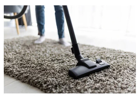 Professional Carpet, Rug & Upholstery Cleaning in Sutherland Shire