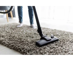 Professional Carpet, Rug & Upholstery Cleaning in Sutherland Shire