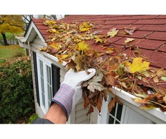 Trusted Gutter Cleaning Solutions for Homes in Blaxland Area