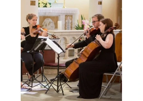 Premium String Quartet Brisbane | String Musicians Australia