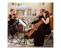 Premium String Quartet Brisbane | String Musicians Australia