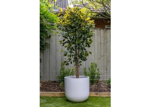 Artificial Bamboo Options That Add Height and Elegance Anywhere