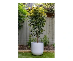 Artificial Bamboo Options That Add Height and Elegance Anywhere