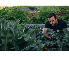 Why Organic Slow Release Fertiliser Is a Smart Choice for Healthier Gardens