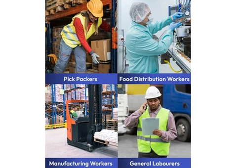 Recruitment Agency Melbourne for Pick Packers & Labour