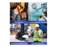 Recruitment Agency Melbourne for Pick Packers & Labour