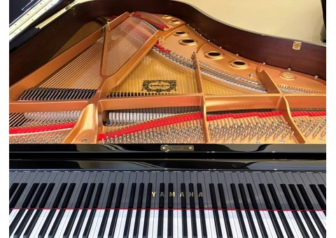 Yamaha S6X Grand Piano for Sale Built for Control & Clarity