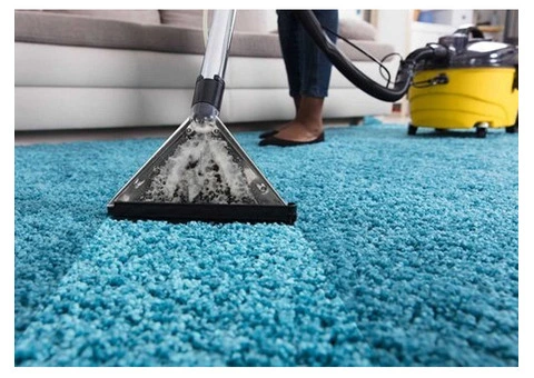 Affordable Carpet Cleaning Illawarra – Same Day Service Available